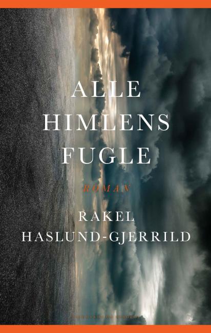 Alle himlens fugle